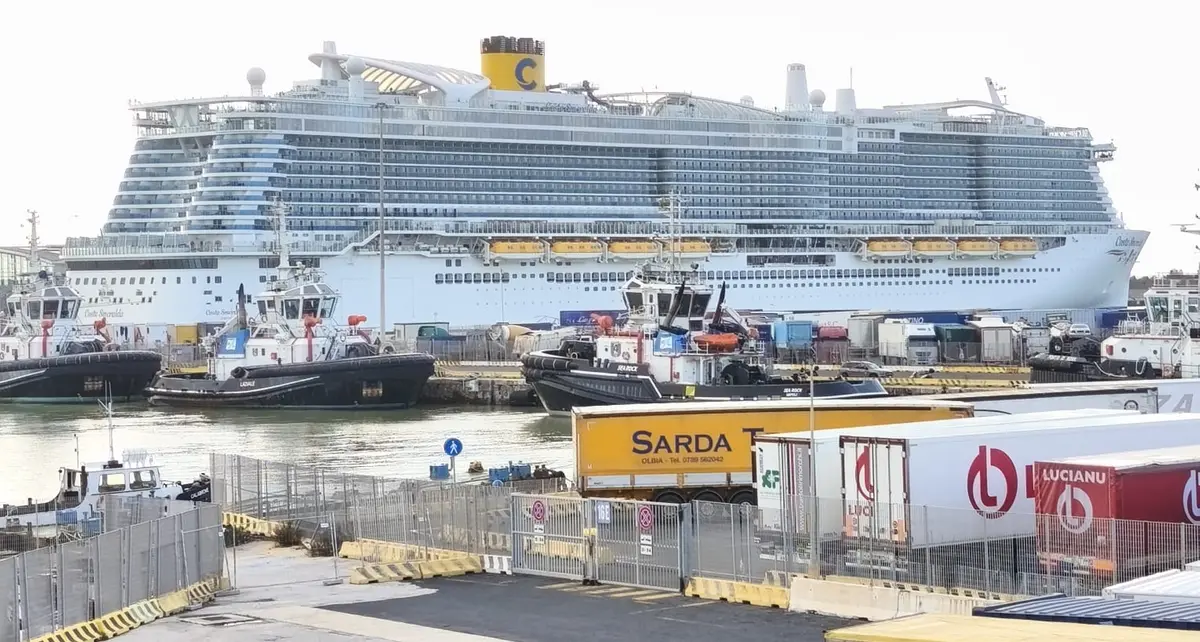 Muore cadendo dalla murata di una nave da crociera