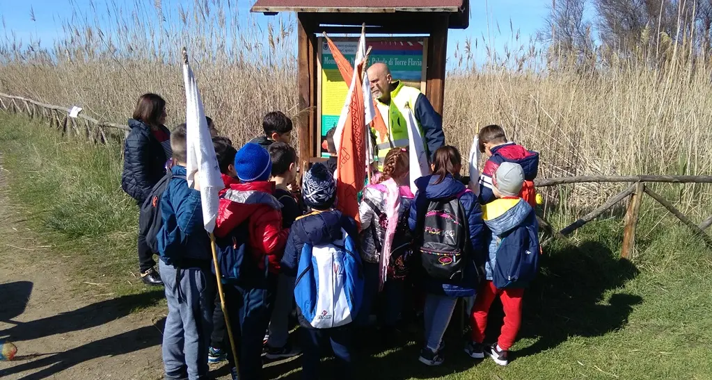 “Natura in Cammino” alla scoperta della Palude di Torre Flavia