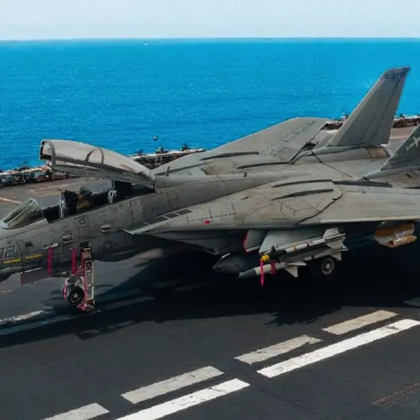 Gli artigli del felino