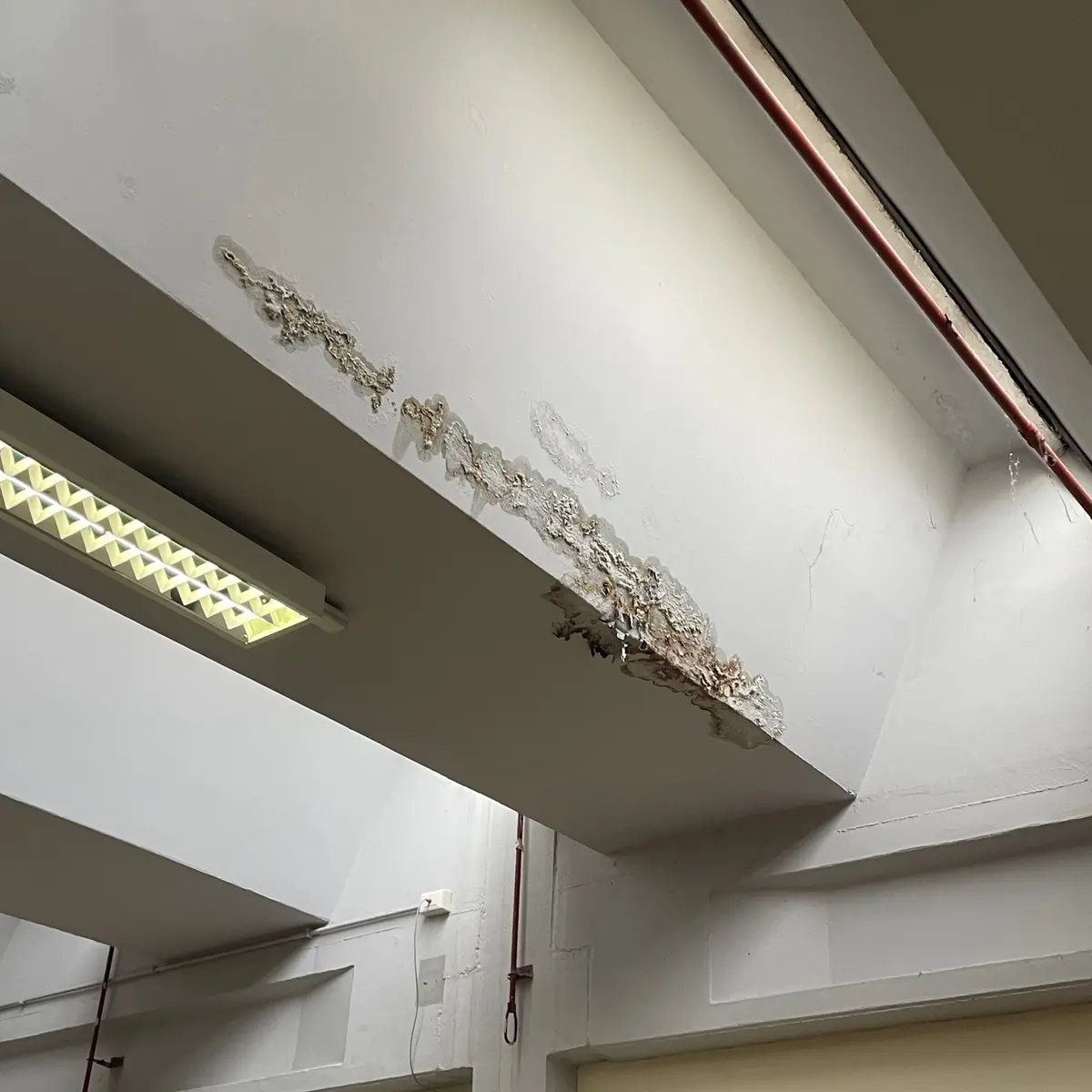 Guglielmotti sotto la pioggia, gli studenti attaccano la Regione