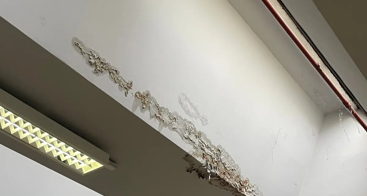 Guglielmotti sotto la pioggia, gli studenti attaccano la Regione