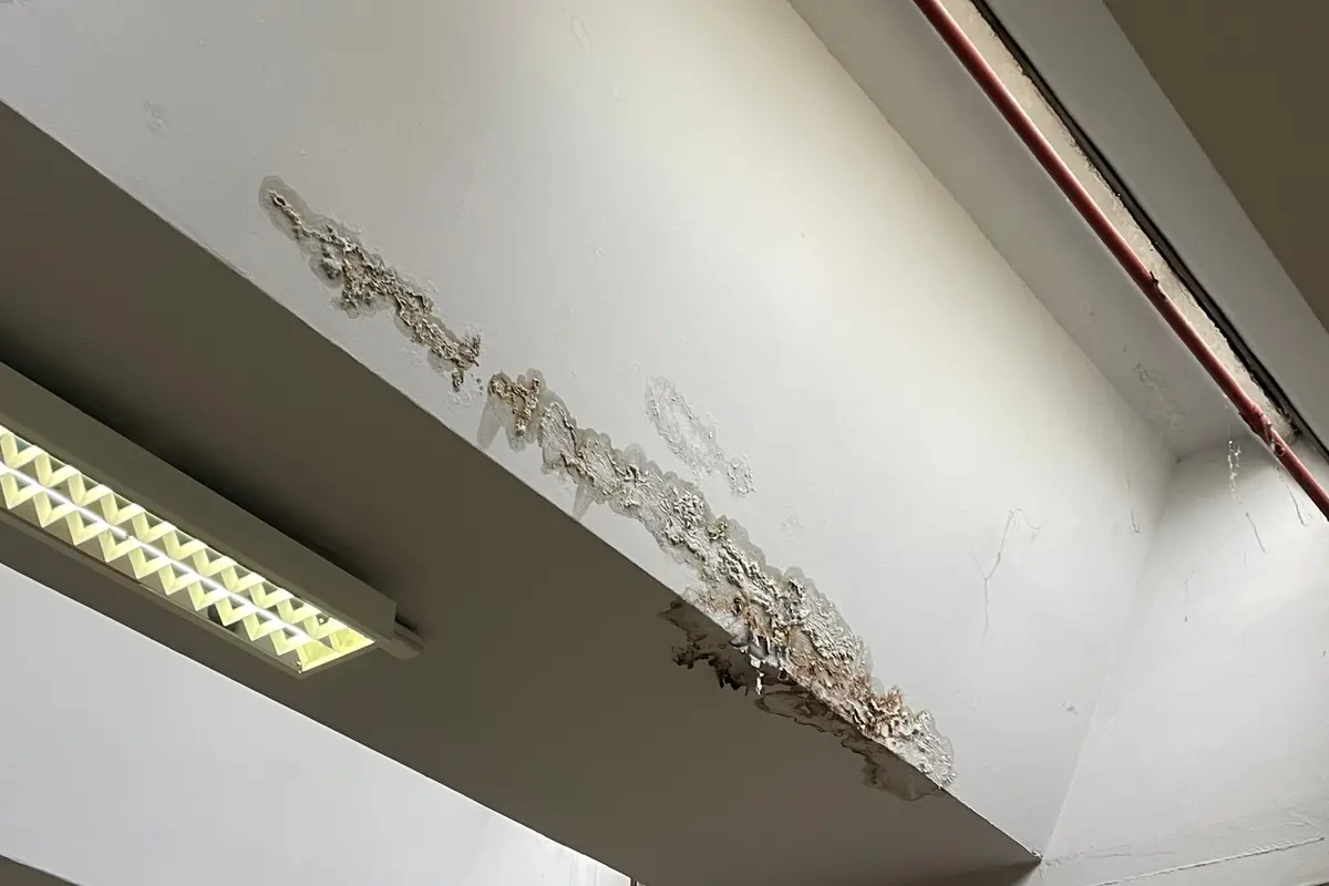 Guglielmotti sotto la pioggia, gli studenti attaccano la Regione