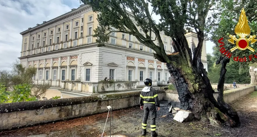 Maltempo nella Tuscia: fulmine cade su albero monumentale di Palazzo Farnese