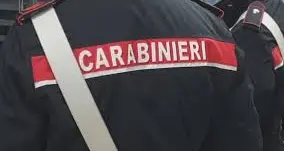 Viterbo: i carabinieri salvano una volpe travolta da un’auto