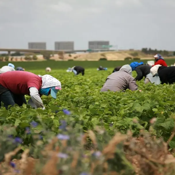 Ospiti della struttura d’accoglienza senza averne diritto