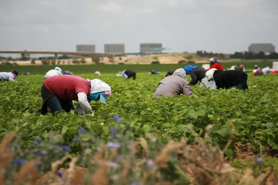 Ospiti della struttura d’accoglienza senza averne diritto