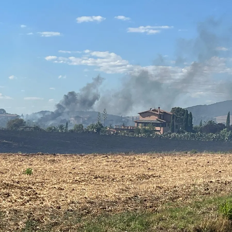 Montalto e Pescia bruciano: in fiamme decine di ettari, evacuate abitazioni