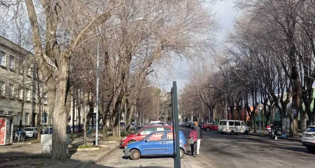 Viterbo: in viale Trento al via l’intervento d’asfaltatura