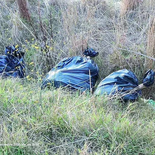 Rifiuti abbandonati alle Vignole: «Una situazione indecorosa»