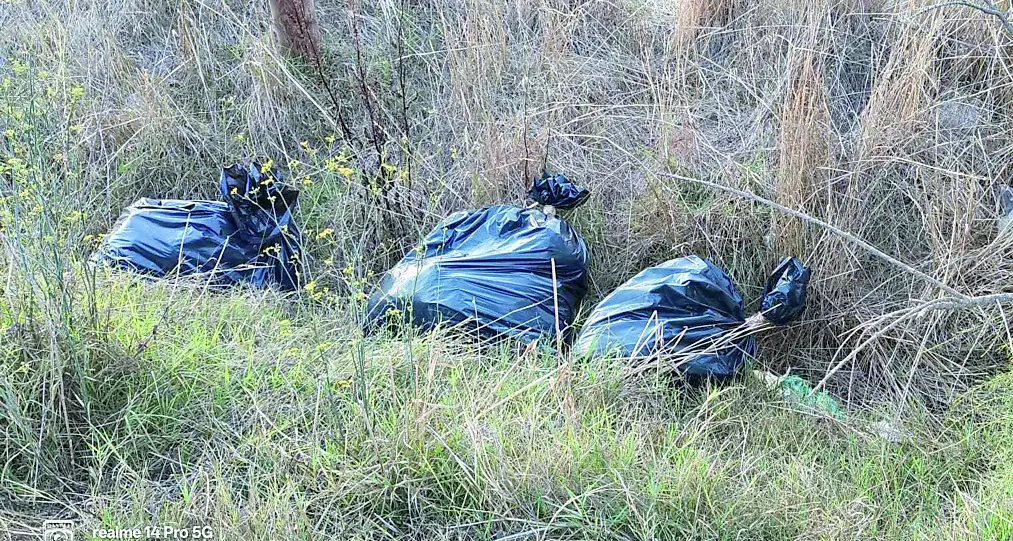 Rifiuti abbandonati alle Vignole: «Una situazione indecorosa»