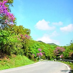 Strade, approvata la mozione del Pd: «Ora la Regione Lazio dica cosa intende fare»