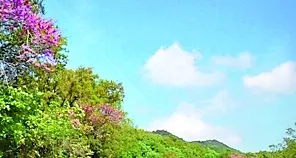 Strade, approvata la mozione del Pd: «Ora la Regione Lazio dica cosa intende fare»