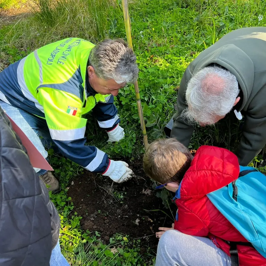 “Un albero per il futuro”, protagonisti gli alunni della scuola Caravaggio