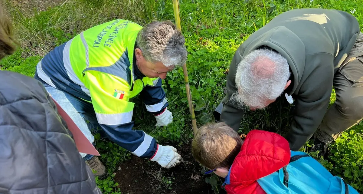 “Un albero per il futuro”, protagonisti gli alunni della scuola Caravaggio