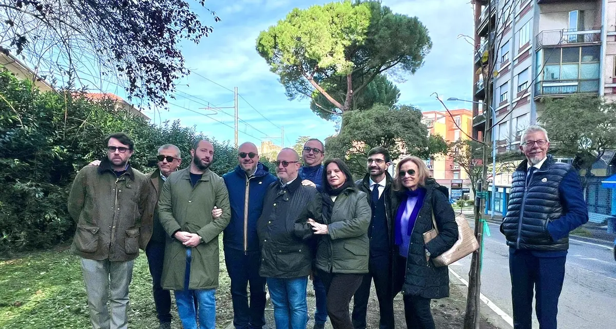 Viterbo: un nuovo tiglio in via Vicenza