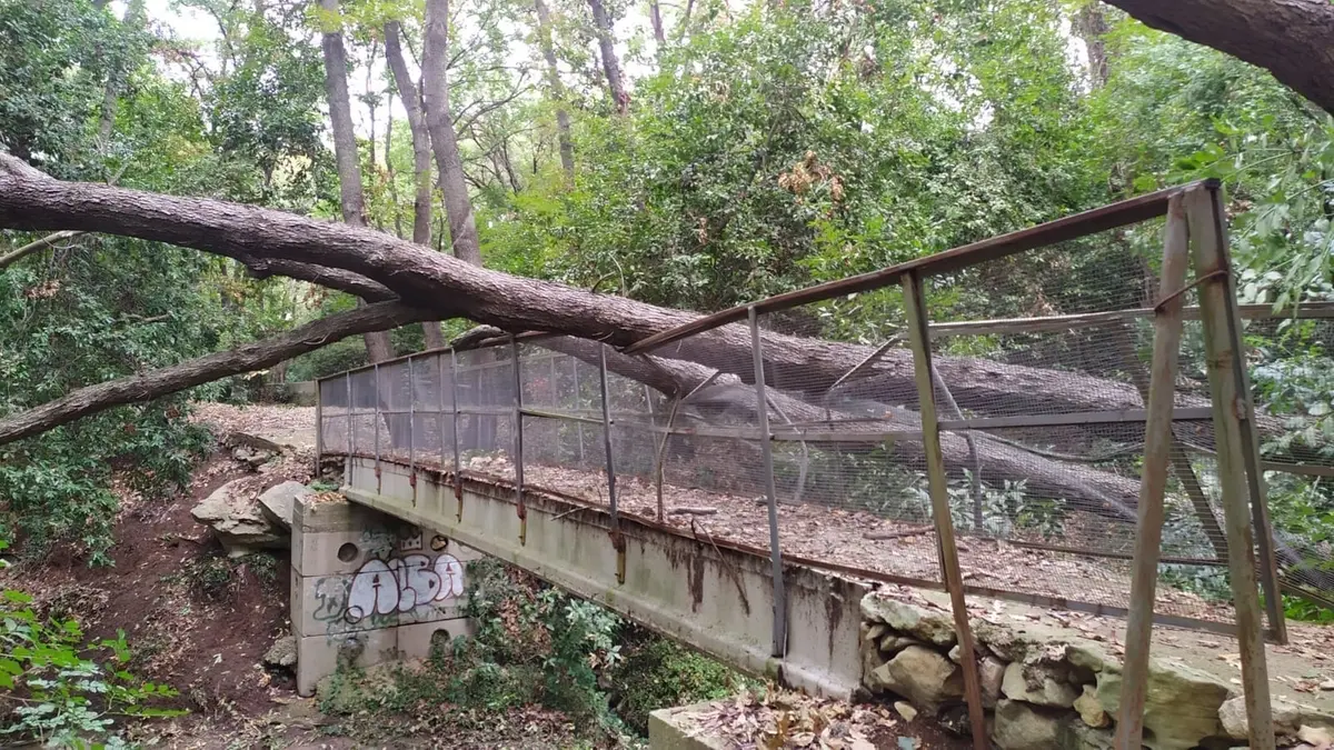 «Valcanneto, comune inerte e sordo sui problemi del bosco»