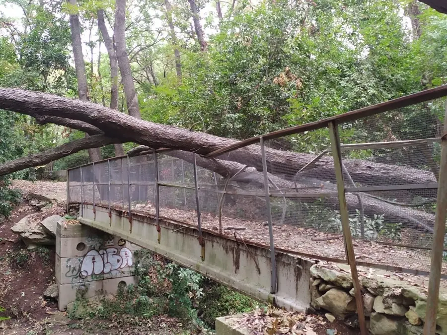 «Valcanneto, comune inerte e sordo sui problemi del bosco»